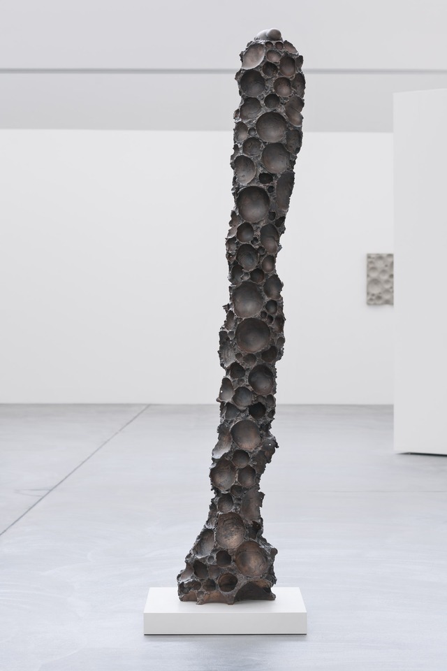 Konkaver Torus No. 1, 2012
Bronze gegossen, Auflage 3 E.A.2
214 x 41cm
Edition of 3