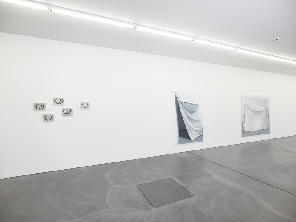 Charlotte Beaudry\
Installation view\
von Bartha, Basel, 2008