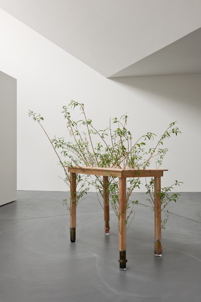 Perrine Lievens, Group Show\
Installation view\
von Bartha, Basel, 2010