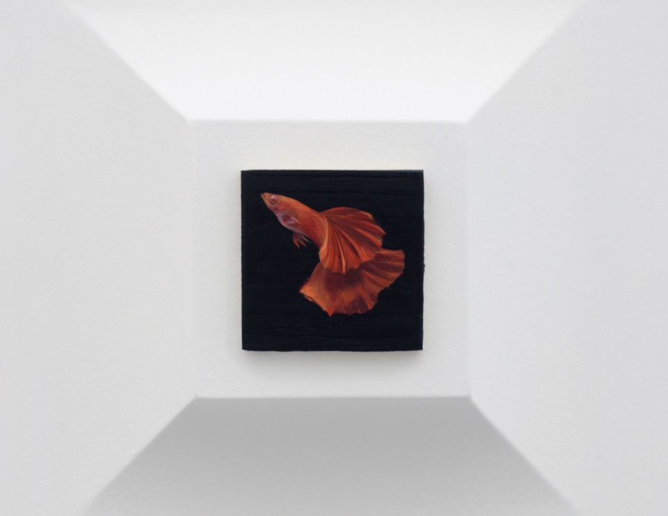 One of  48 wood panels:\
*Guppy*, 2024\
Oil on wood\
6.5 x 6.5 cm
