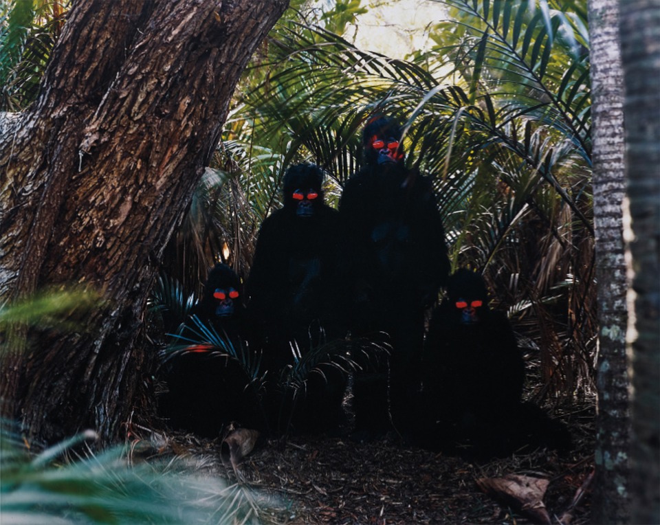 Apes, 2001