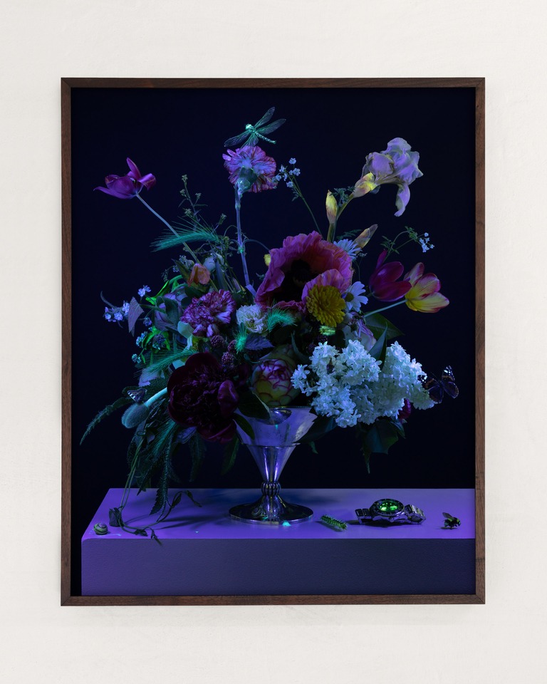 ‘Nature Morte’ by Emilia Bergmark is a photograph that recreates Abraham Mignon’s Still Life with Flowers and a Watch (1660 – 1679) using flowers from the contemporary Dutch flower industry and insects from the entomological collection of Lund University. Mignon’s painting reminds the onlooker that everything is ephemeral. In our time, the insects depicted are threatened with extinction, and the modern flower industry produces fresh, cheap flowers all year round and disrupts the seasons as they would occur in nature.
