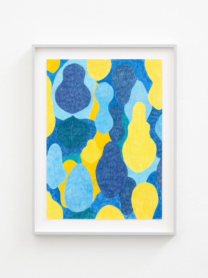 Karim Noureldin “Brea,” 2025
Coloured pencil on paper
29.3 x 40.537 x 48.5 cm