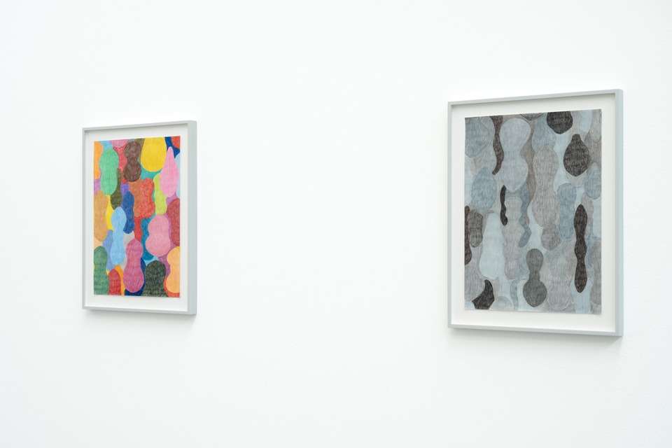 Karim Noureldin “Brea,” 2025
Coloured pencil on paper
29.3 x 40.537 x 48.5 cm